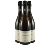 Champagne Premier Cru Mont Martin Extra Brut - Blanc 2019 - Champagne Nicolas Maillart (3x75cl)
