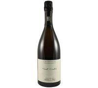 Champagne Premier Cru Mont Martin Extra Brut - Blanc 2020 - Champagne Nicolas Maillart (75cl)