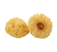 Champignons blancs séchés, tremella, fuciformes, champignon comestible 500 g (500 g)