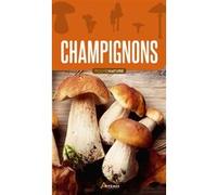 Champignons Collectif (Auteur)
