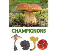 Champignons Collectif (Auteur)