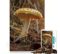 Champignons dans la forêt Puzzle de 1000 pièces pour Adultes Détente et Stimulation cérébrale Idéal pour se Relaxer Finitions impeccables Cadeau raffiné (50x75cm)