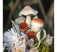 Champignons d'automne bruns à piquer, décoration de table rustique, set de 16, tailles 3,5/5,5cm, style campagnard