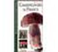 Champignons de France - Collectif - Artemis Eds - broché - Guide