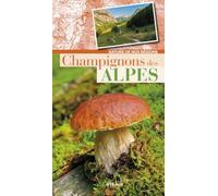Champignons des Alpes