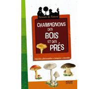 Champignons des bois et des prés