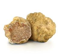 Champignons frais à la truffe blanche de Tubercule Magnatum 250 gr (8.81 oz)