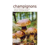 Champignons: Les reconnaître facilement sans se tromper