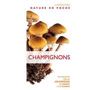 Champignons - Nouvelle présentation