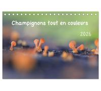 Champignons tout en couleurs (Calendrier de bureau 2026 DIN A5 vertical), CALVENDO calendrier mensuel: À la découverte des champignons aux couleurs éclatantes