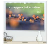 Champignons tout en couleurs (Calendrier mural 2026 DIN A2 vertical) calendrier de bureau: À la découverte des champignons aux couleurs éclatantes