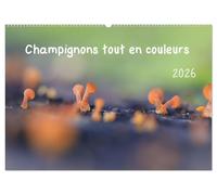 Champignons tout en couleurs (Calendrier mural 2026 DIN A2 vertical), CALVENDO calendrier mensuel: À la découverte des champignons aux couleurs éclatantes