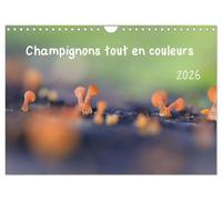 Champignons tout en couleurs (Calendrier mural 2026 DIN A4 vertical), CALVENDO calendrier mensuel: À la découverte des champignons aux couleurs éclatantes