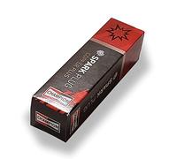 Champion 011-423 Bougie RJ19LM