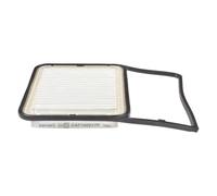 Champion caf1 00917p Salles de Moteur