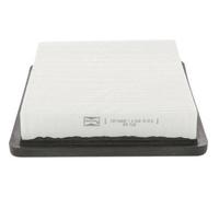 CHAMPION CAF100652P Filtre à air