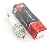 Champion Chal82c, Bujia Unisex Adult, MULTICOLOR, STANDARD