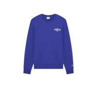 Champion Crewneck Sweatshirt Sweat-Shirt à col Rond Homme (Lot de 1)