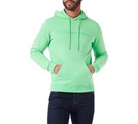 Champion Legacy American Classics Heavy Powerblend Terry Logo Sweatshirt à Capuche, Vert Clair, L Homme