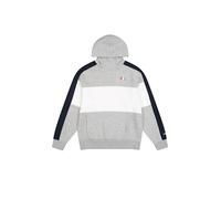 Champion Legacy Retro Sport (220317) -Soft Compact Poly Fleece Color Block Sweatshirt à Capuche, Gris (EM021), S Homme
