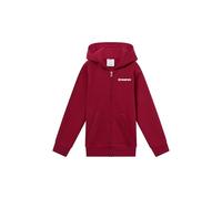 Champion Legacy Sweat à Capuche zippé Graphique pour garçon, M, Rouge, Rouge, M