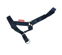 Champion Licol rembourré pour dressage de chien Outil de dressage (4)
