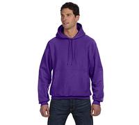 Champion Reverse Weave® Hooded Sweatshirt XL Purple