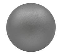 Champion Sports Fer Shot Put, 2,7 Kilogram