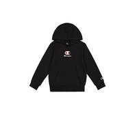 Champion, Sweat-Shirt à Capuche, NBK, S