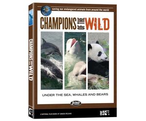 Champions of the Wild:Under the Sea,Whales and Bears