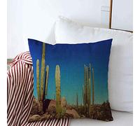 Champs De Cactus du Désert Mexique Basse-Californie Parcs Naturels Naturels Envie De Voyager Housse Coussin avec Fermeture Éclair Taie Oreiller Luxe Housse De Coussin pour Canape Salon 45X45Cm