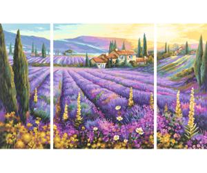 Champs de lavande - peinture par numéros
