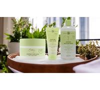 Champs de Provence Botanical Care Kit de soin du visage pour femme - Crème (50 ml), gommage (100 ml) et eau micellaire (500 ml) - Cosmétique naturel végétalien - Crème de jour et de nuit - Exfoliant