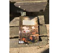 Chancellorsville - La Victoire Parfaite Du Général Lee