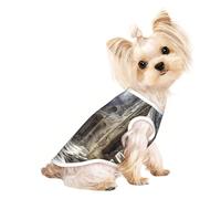 Chandails personnalisés pour chiens de petite et moyenne taille - Designs uniques, polaire polyester douce, parfaits pour la récupération chirurgicale et le port quotidien d'un monastère dilapidé M