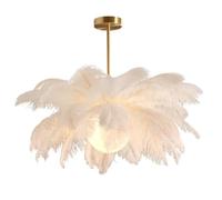 Chandelier de Plumes Autruche pour Chambre Salon Plafond élégant avec Unique, éclairage Doux (60 cm)