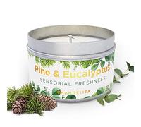 Chandelita Bougie Parfumées au Pin & Eucalyptus avec Morceaux & Cire de Soja pour Relaxation & Bien-être Général - Bougie Parfumée Artisanale - Bougies Parfumée Nature