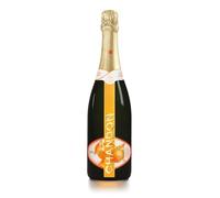 Pack 1 Bouteille Chandon Garden Spritz + Ice Bag Offert
