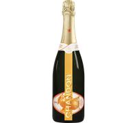 Pack 1 Bouteille Chandon Garden Spritz + Ice Bag Offert