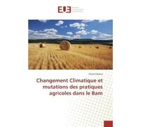 Changement Climatique et mutations des pratiques agricoles dans le Bam - Florent Boena - Universitaires Europeennes - broché - Etude