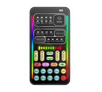 Changeur de voix portable multifonctionnel - Mini carte son avec 8 effets sonores - Batterie 450 mAh - Compatible avec téléphone portable, ordinateur, tablette (I9 English Edition)