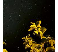 Changing Bodies/Limited Vinyl With 12in Inlay