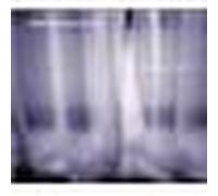 Tord Gustavsen Trio - Changing Places