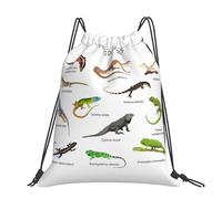 CHANGLEI Différents types de lézard Grand sac à dos décontracté avec cordon de serrage imprimé, polyester résistant à l'eau, léger et durable, dos contrasté noir pour la gym, le yoga, les voyages