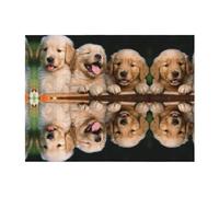 CHANGLEI Golden Retriever Couverture en flanelle (240 g) avec imprimé personnalisé, douce, chaude, confortable, polyvalente pour lit et canapé