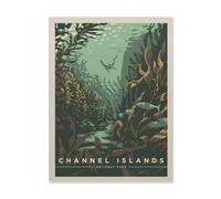 Channel Islands National Park，1000 Pièces Puzzle en Papier Intéressant Puzzle défi Cérébral pour Les Femmes Jouets De Décompression（50x70cm）-HO99
