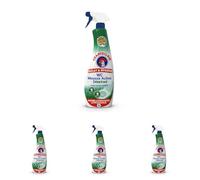 Chanteclair - Spray WC, Mousse Active Détartrant, Nettoie et Désincruste en Profondeur, Parfait pour un Usage Intérieur et Extérieur - 625 ml (Lot de 4)