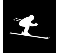 CHANYI 11.1X6.7Cm Outdoor Ski Skateboard Enthusiasts Autocollants De Voiture Dessin Animé Moto Autocollants En Vinyle Imperméables Noir/Argent Pare-Chocs De Voiture Toilette Réfrigéra