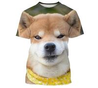 CHANYI Hommes 3D imprimé T-Shirts Drôle Shiba Inu 3D Imprimé Chien Graphique T-Shirt pour Hommes Vêtements Casual Streetwear Pop Unisexe Harajuku Femmes Tops T-Shirts