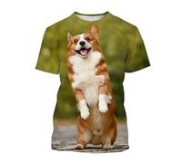 CHANYI Hommes 3D imprimé T-Shirts Welsh Corgi Chien Imprimé 3D T-Shirt pour Hommes Mignon Chiot Animal T-Shirts À Manches Courtes Harajuku Streetwear Tops T-Shirt Vêtements